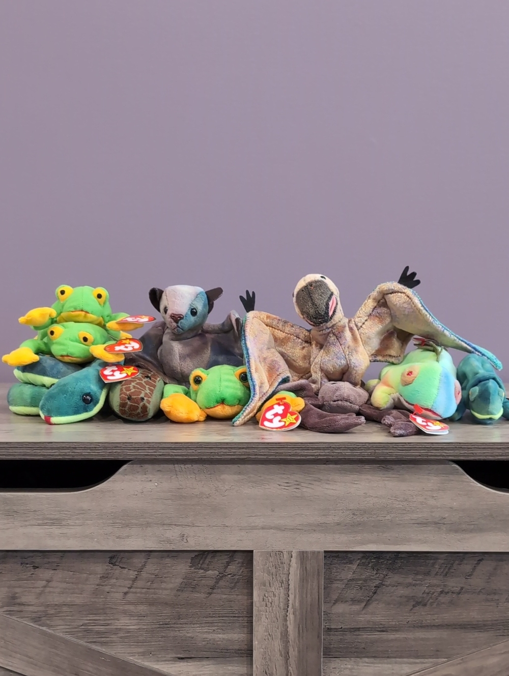Ty Plush Reptile and Amphibian Assortment